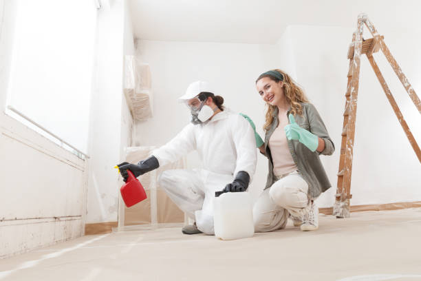 Best Basement Mold Removal  in USA